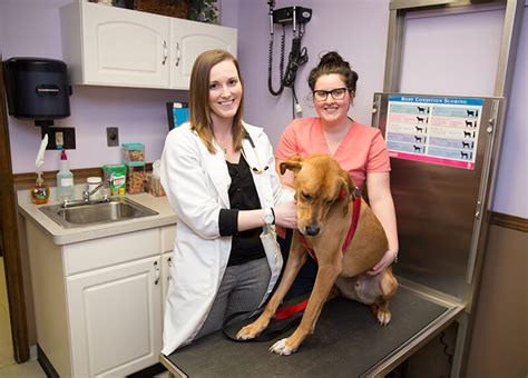 Southtowns animal hospital. Things To Know About Southtowns animal hospital. 