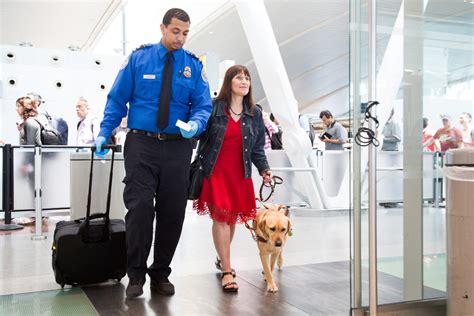Southwest airlines pet fee. Pet fees. You can use your Amex airline fee credit for pet fees whenever you fly with your furry friend. ... This is especially true if you choose Southwest Airlines for your fee credit and ... 