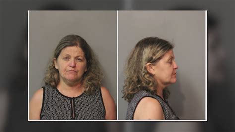Southwest suburban travel agent charged with identity and felony theft after alleged travel scams