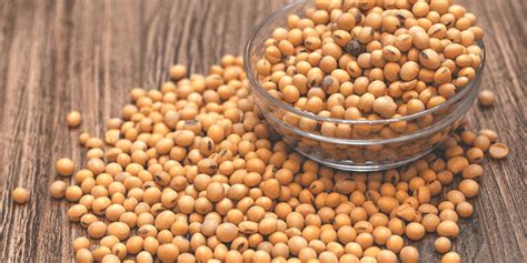 Soybean Basis Weaker