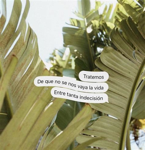 🍆 Soymafers Leaks [PPV]