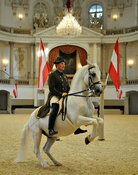 Spanish Riding School - VIENNA – Now. Forever