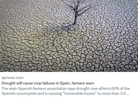 Spanish farmers’ association: 60% of countryside affected by drought, many crops in 4 regions will fail entirely