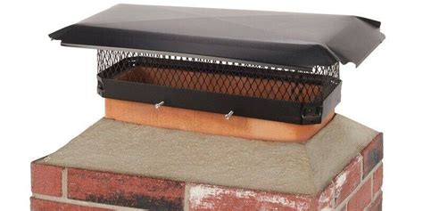 Spark arrestor for outdoor fireplace.  Save money.  Powder-coated black...