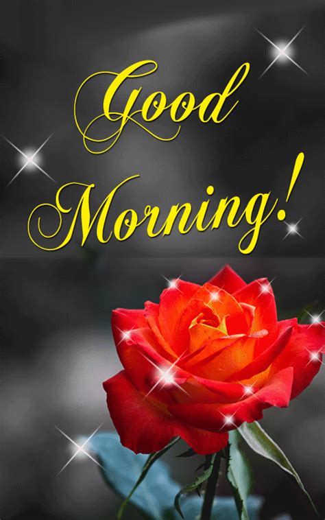 Sparkling Rose Good Morning Gif Pictures, Photos, and Images for