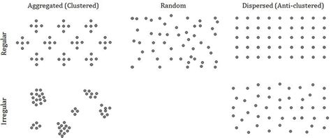 Spatial Distribution Pattern