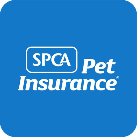 Spca Pet Insurance Nz