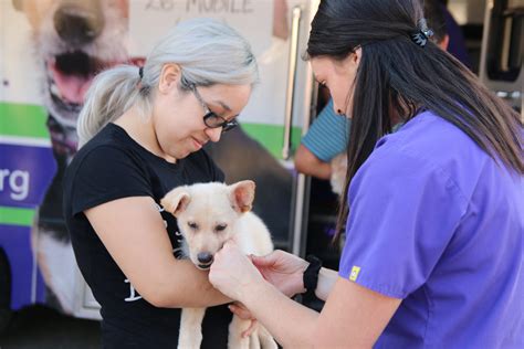 Spca dallas tx. (DALLAS, TX); August 31, 2021 – The SPCA of Texas is asking for your support on the 13th annual North Texas Giving Day, which takes place on September 23, 2021. Every year, the people of North Texas come together to help thousands of local non-profits for North Texas Giving Day, including the SPCA of Texas. 