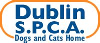 Spca dublin. Things To Know About Spca dublin. 