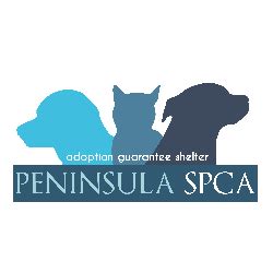 Spca newport news. Things To Know About Spca newport news. 