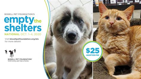 Search for pets for adoption at shelters near Fredericksburg, VA. Find and adopt a pet on Petfinder today.. 