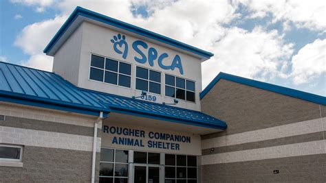 Find comprehensive information about Jefferson County SPCA, situated at 25056 Water St, Watertown, NY 13601. Browse reviews for an extensive array of local pet grooming and care services, flaunting an average rating of 4.5 from 285 assessments.. 