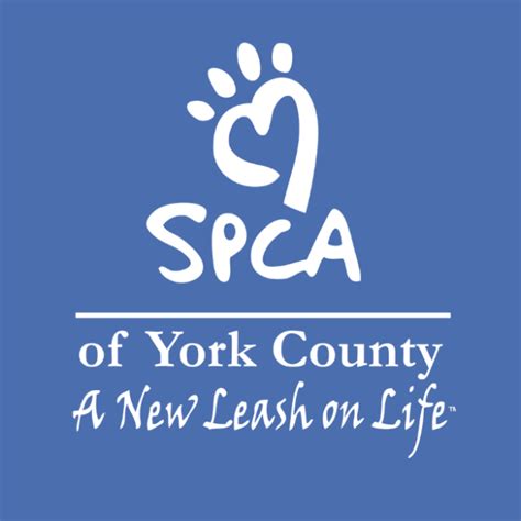 Spca york pa. York County SPCA, York, PA. 38,255 likes · 2,815 talking about this · 4,153 were here. The York County SPCA is a non-profit organization providing human and animal services to residents of York... 