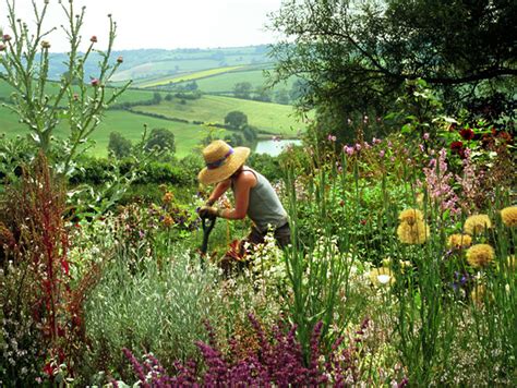 Special Plants Nursery