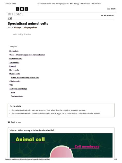 Specialised animal cells - Living organisms - KS3 Biology