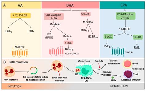 Specialized Pro-resolving Lipid Mediators and Treatment Resistant ...