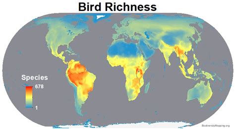 Species Biodiversity Maps Documentation