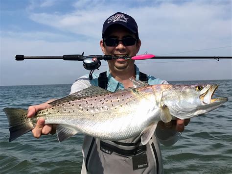 In 2020, very few adult speckled trout will be found in the lake from mid-June until mid-September due to a salinity concentration below the speckled trout's estimated spawning requirement ...