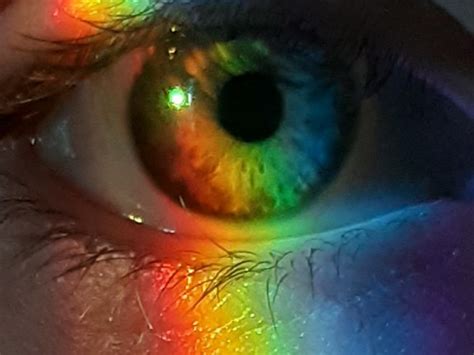 Spectrum color eye.  The human eye and brain together translate light into color.  Profe...