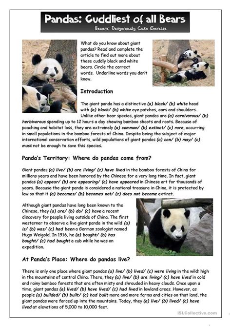 Speech On Giant Panda - 842 Words Bartleby