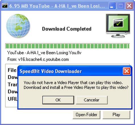 Speedbit Video Downloader for Windows