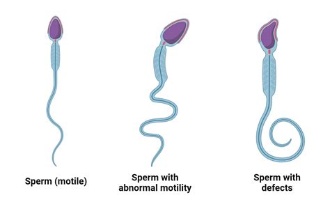 Sperm Onlyfans Leak