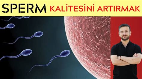 Sperm kalitesini artırmak