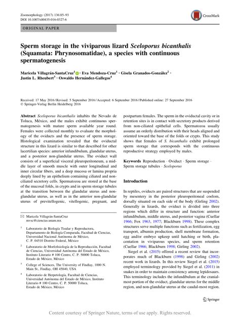 Sperm storage in the viviparous lizard Sceloporus bicanthalis …