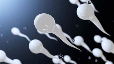 Sperm total motilite nedir