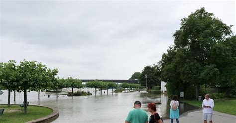 Speyer Hochwasser: Helmut-Kohl-Ufer in Speyer überflutet