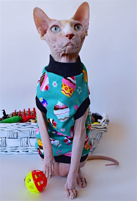 Sphynx cat clothes, Sphynx cat, Cute cats and dogs - Pinterest