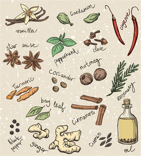 Spice Drawings