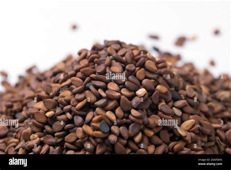 Spice Pages: Sesame Seeds (Sesamum indicum)