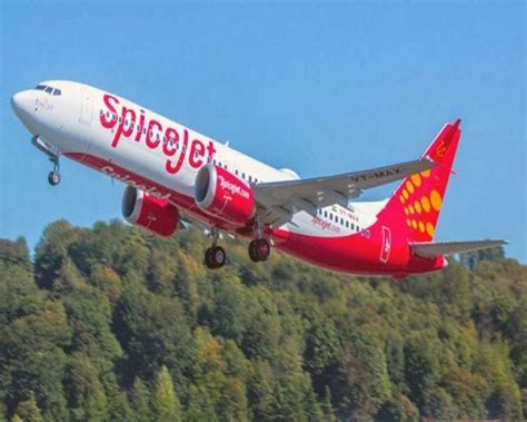 SpiceJet to launch 60 new domestic flights this summer