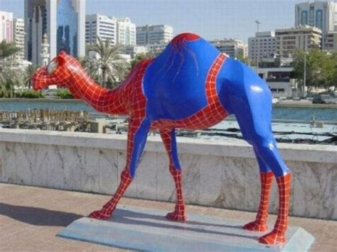 Spider Camel : r/funny - Reddit