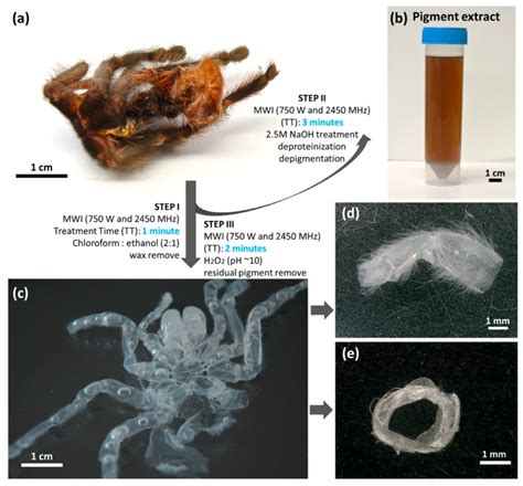 Spider Chitin: An Ultrafast Microwave-Assisted Method for Chitin ...