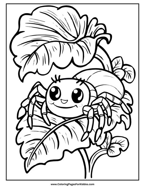 Spider Coloring Pages To Prin