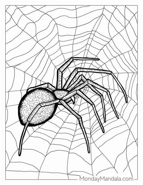 Spider Coloring Shee