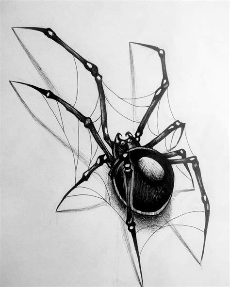 Spider Tattoo Drawings