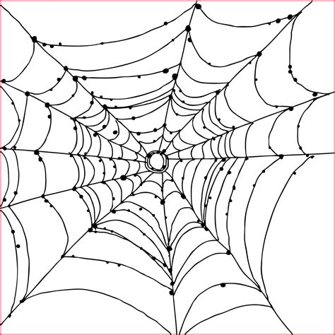 Spider Web Simple Drawing