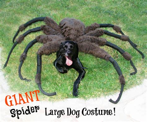Spider dog costumes. TV / Movie Pet Costumes. Whether it's a dog costume or cat costume you are looking to put on your furry friend we've got the best selection around. Our pet costumes will make them look adorable right along with … 