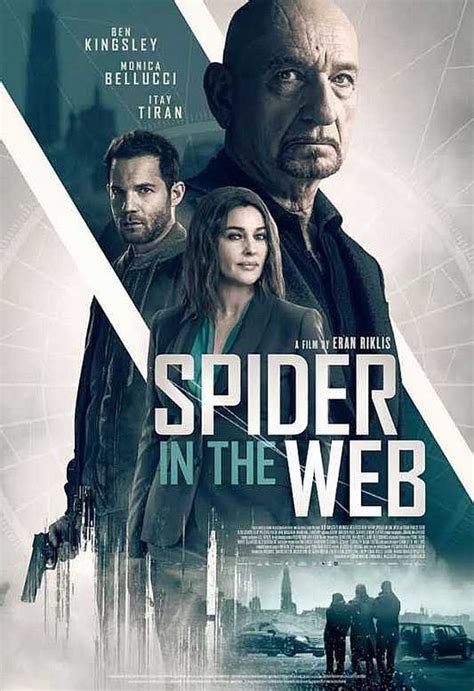 Spider in the Web 2019.