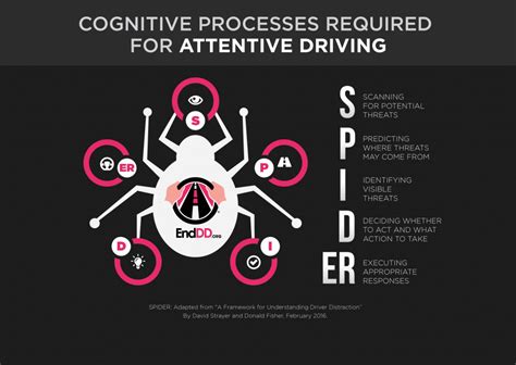 Defensive driving is not a passive activity, but rather an active, conscious effort made to train your eyes and mind to drive in a defensive manner. ... identifying Method/results: A "SPIDER" model is developed that identifies key cognitive processes that are impaired when drivers divert attention from driving. SPIDER is an acronym standing .... 