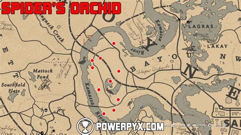 Rdr2: All 3 Acuna's Star Orchids LocationsSHAREfactory™https://store.playstation.com/#!/en-ca/tid=CUSA00572_00. 