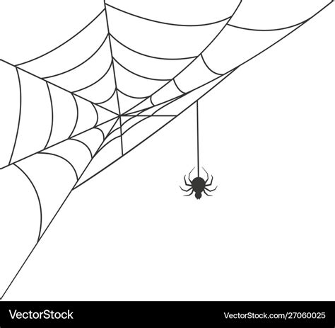 Spider web in corner with a hanging spider Vector Image