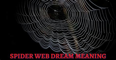 Spider web in dream meaning