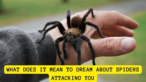 Spiders attacking in dreams