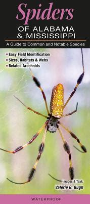 Spiders of alabama mississippi a guide to common notable species. - Jetzt herunterladen yamaha warrior yfm350 yfm 350 87 04 service reparatur werkstatthandbuch.