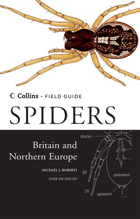 Spiders of britain and northern europe collins field guide. - Hyundai accent 2006 2009 service repair manual hotfile.