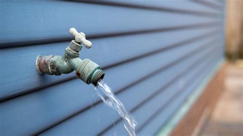Spigot replacement. If it's leaking from the spout, the inner mechanism may be damaged, and it's probably easier and cheaper to just replace the entire thing. Hose bibbs usually cost anywhere from $5–10, but a plumber may charge … 